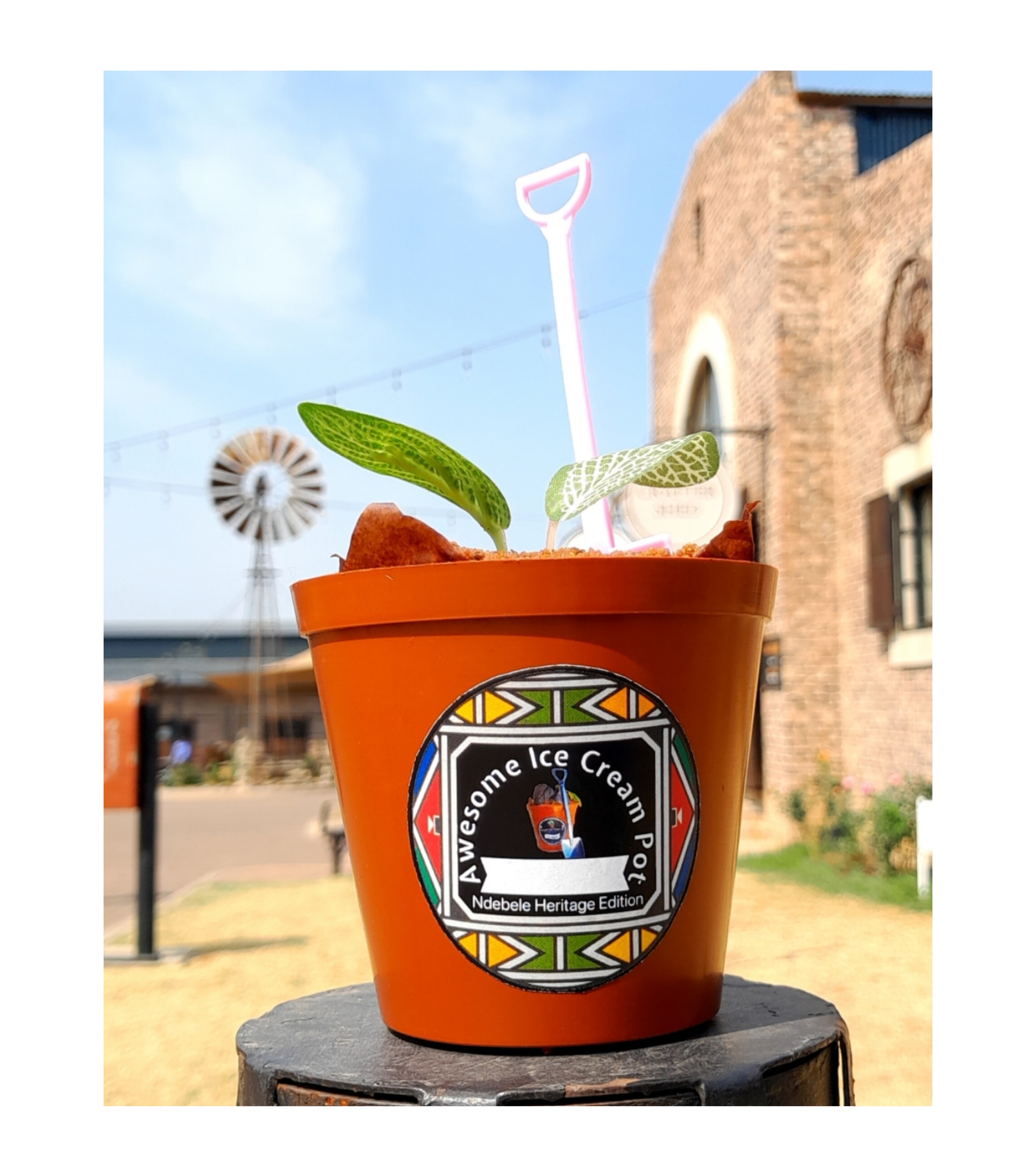 Collage_2025-08-01_22_25_06