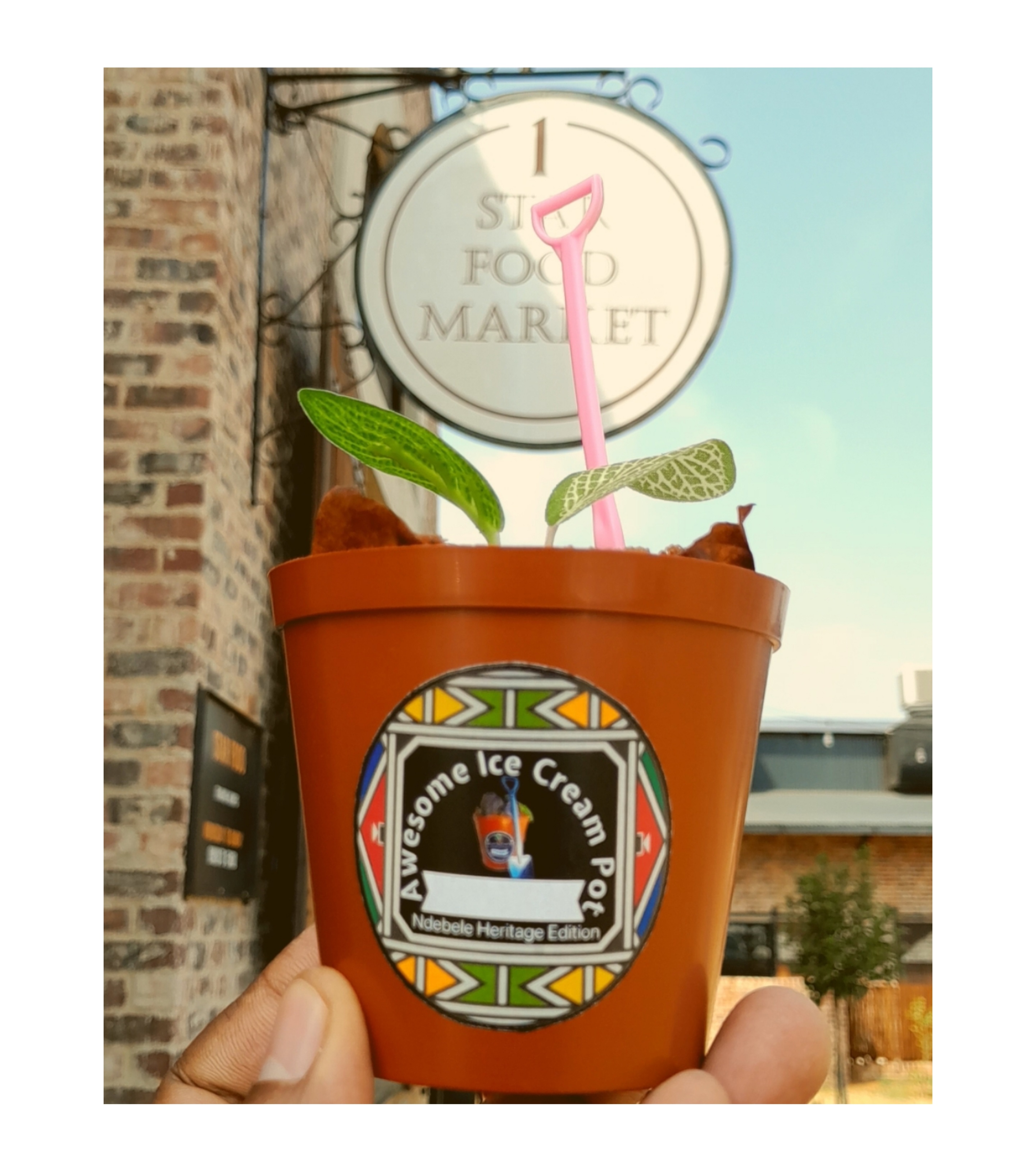 Collage_2025-08-01_22_25_49