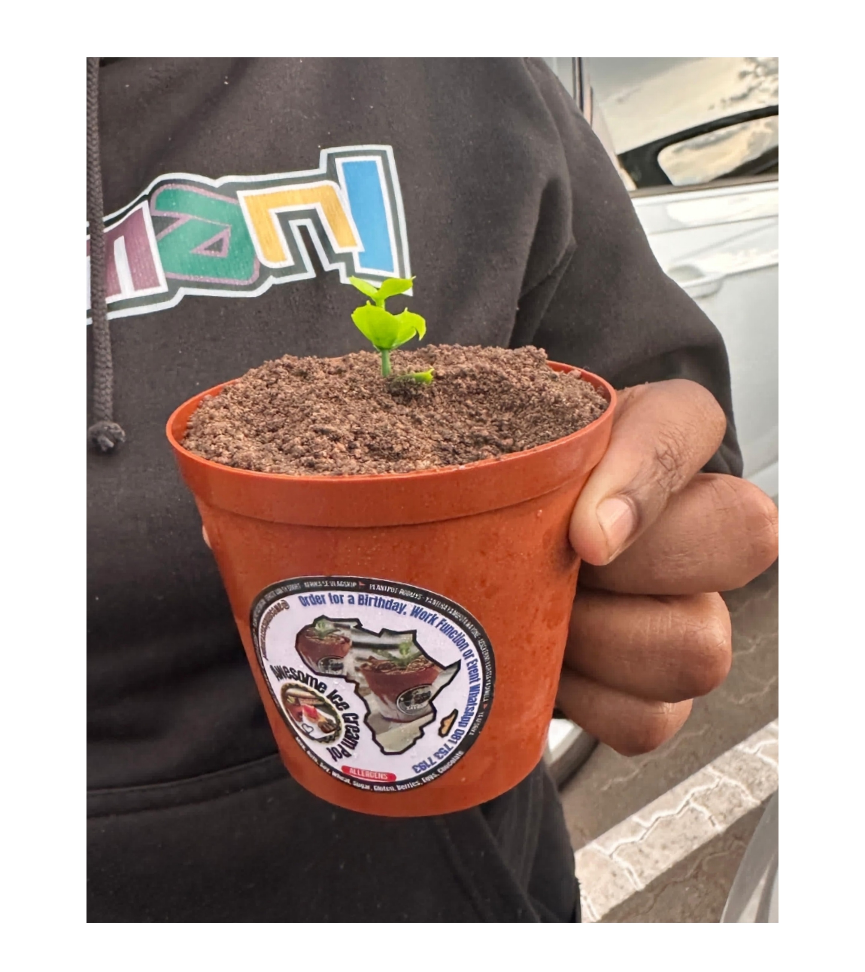 Collage_2025-08-01_22_27_16