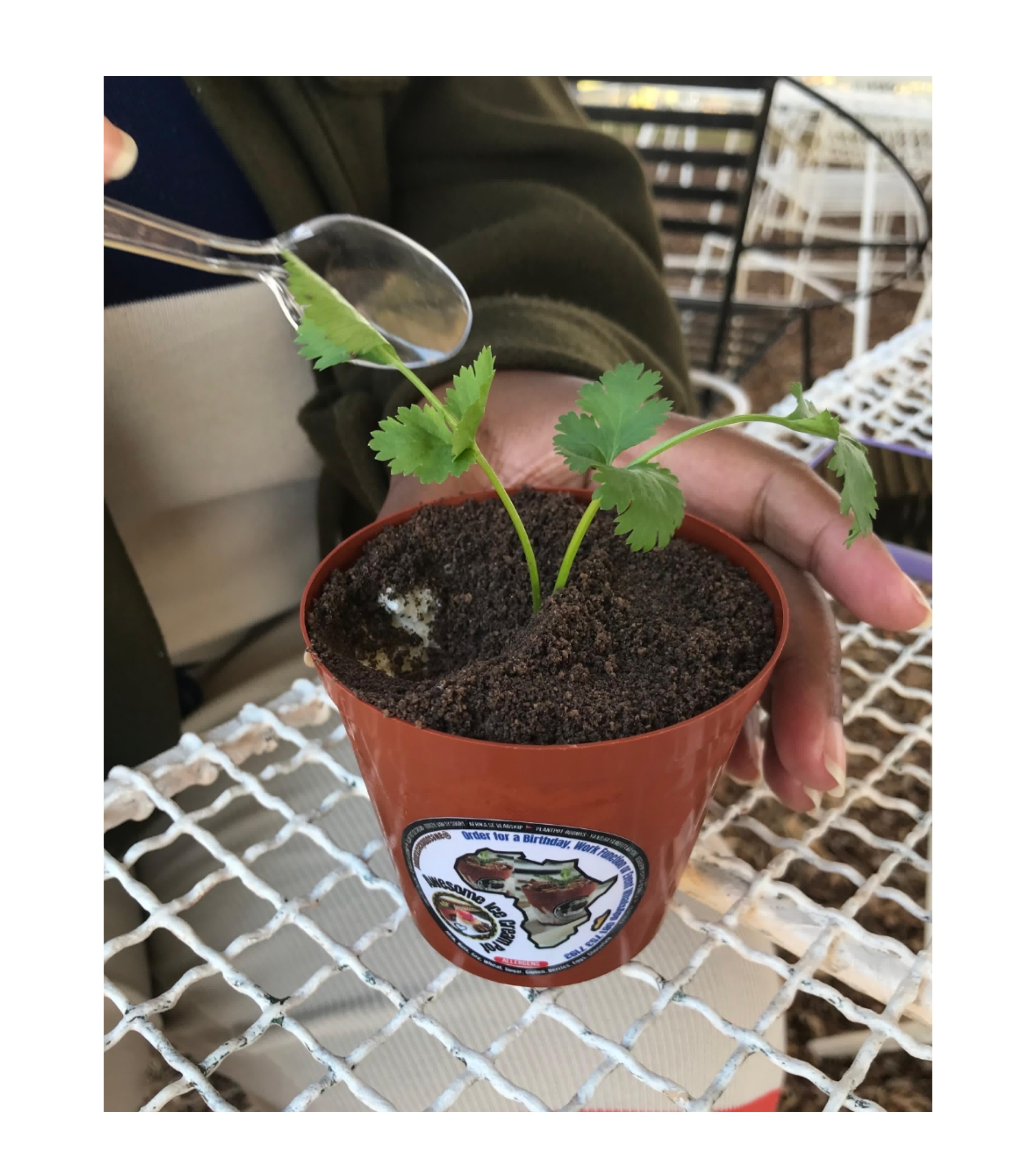 Collage_2025-08-01_22_28_29