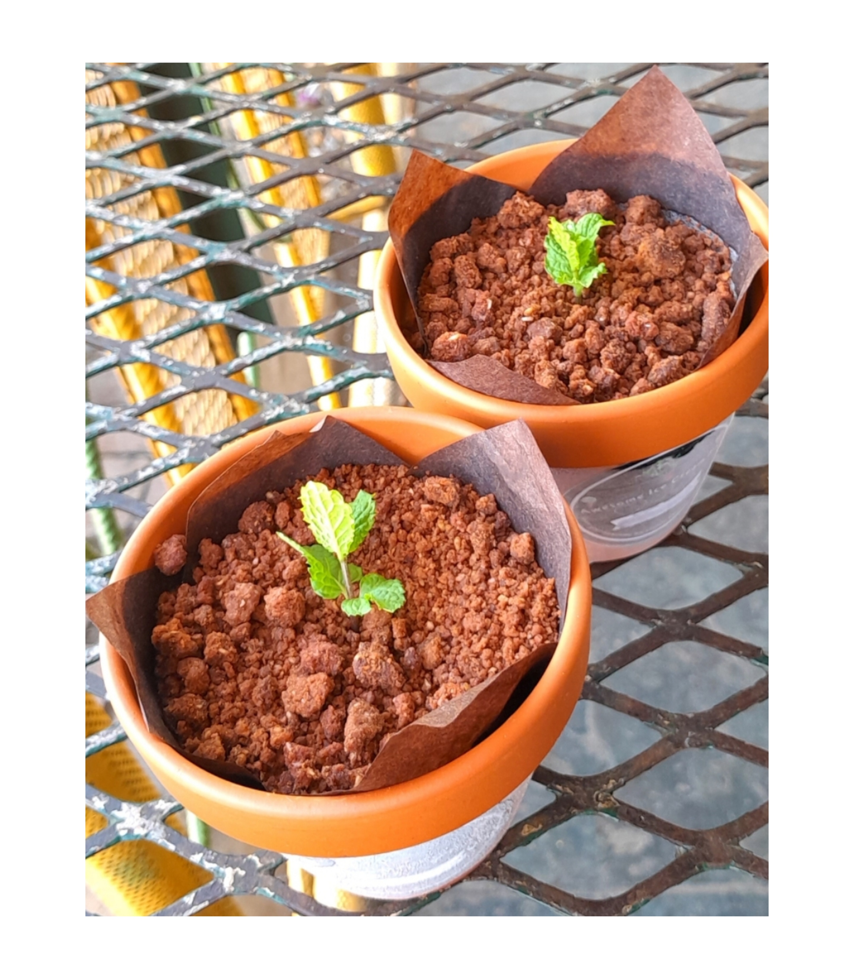 Collage_2025-08-01_22_29_02