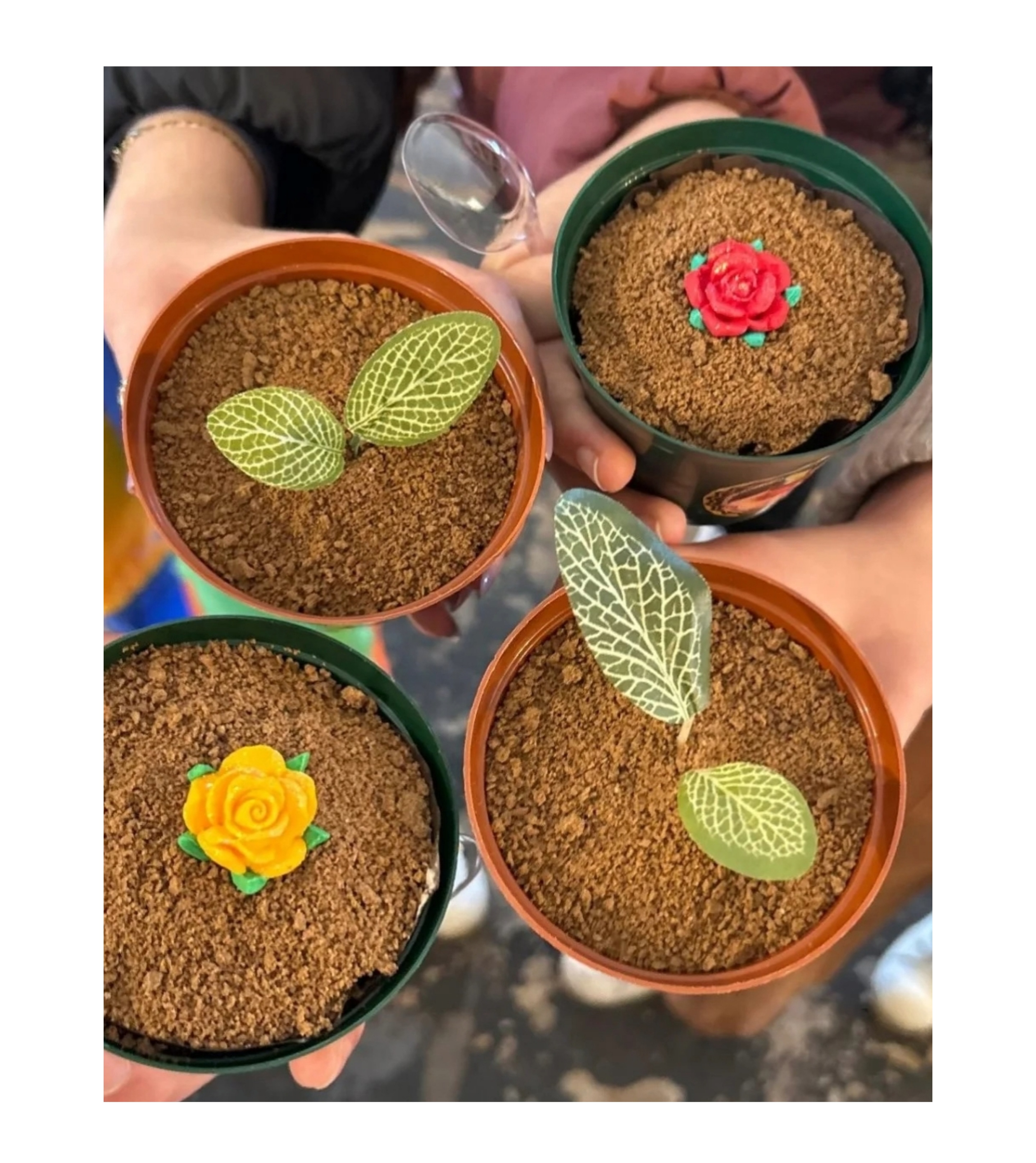 Collage_2025-08-01_22_30_56