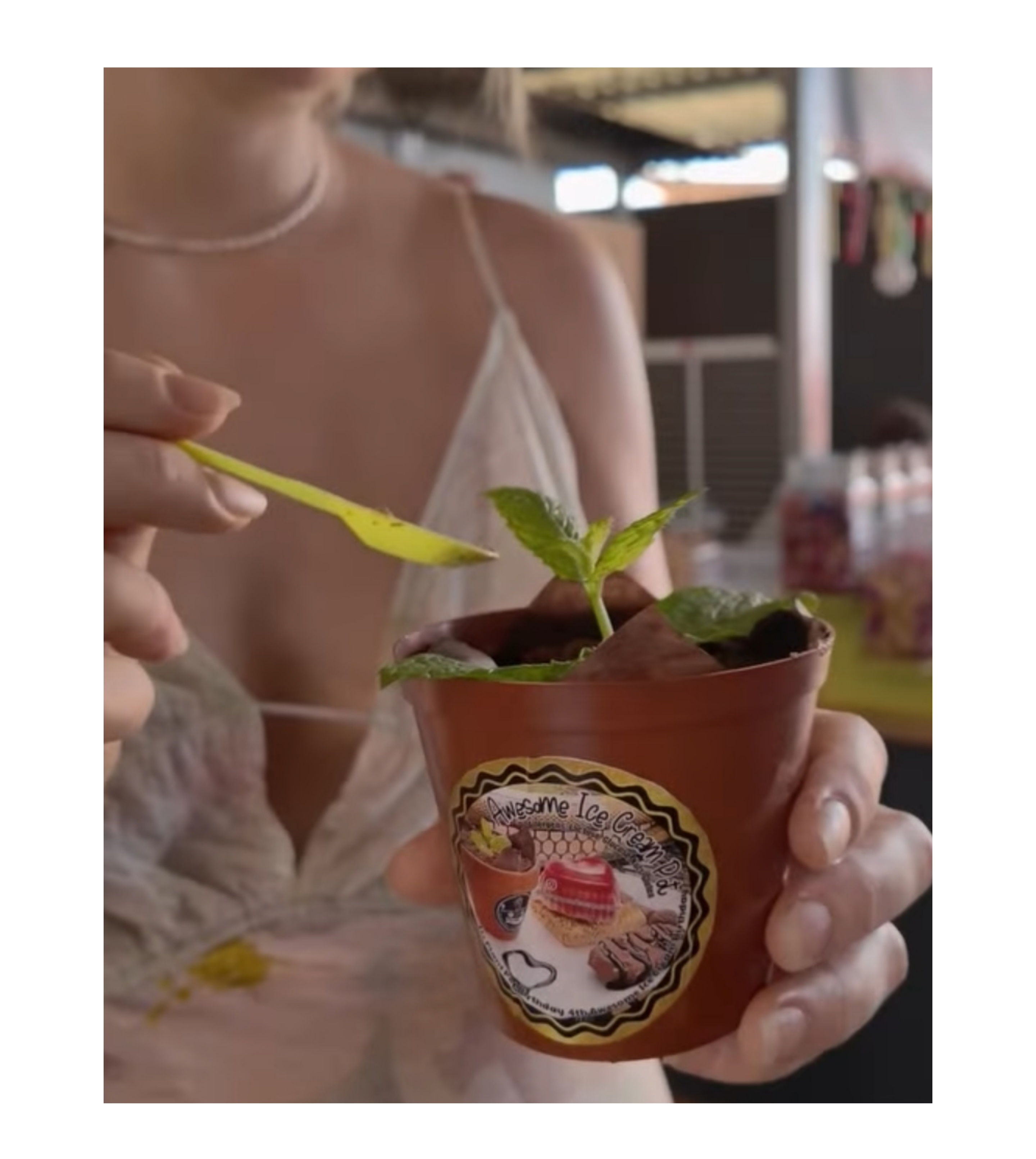 Collage_2025-08-01_22_34_27