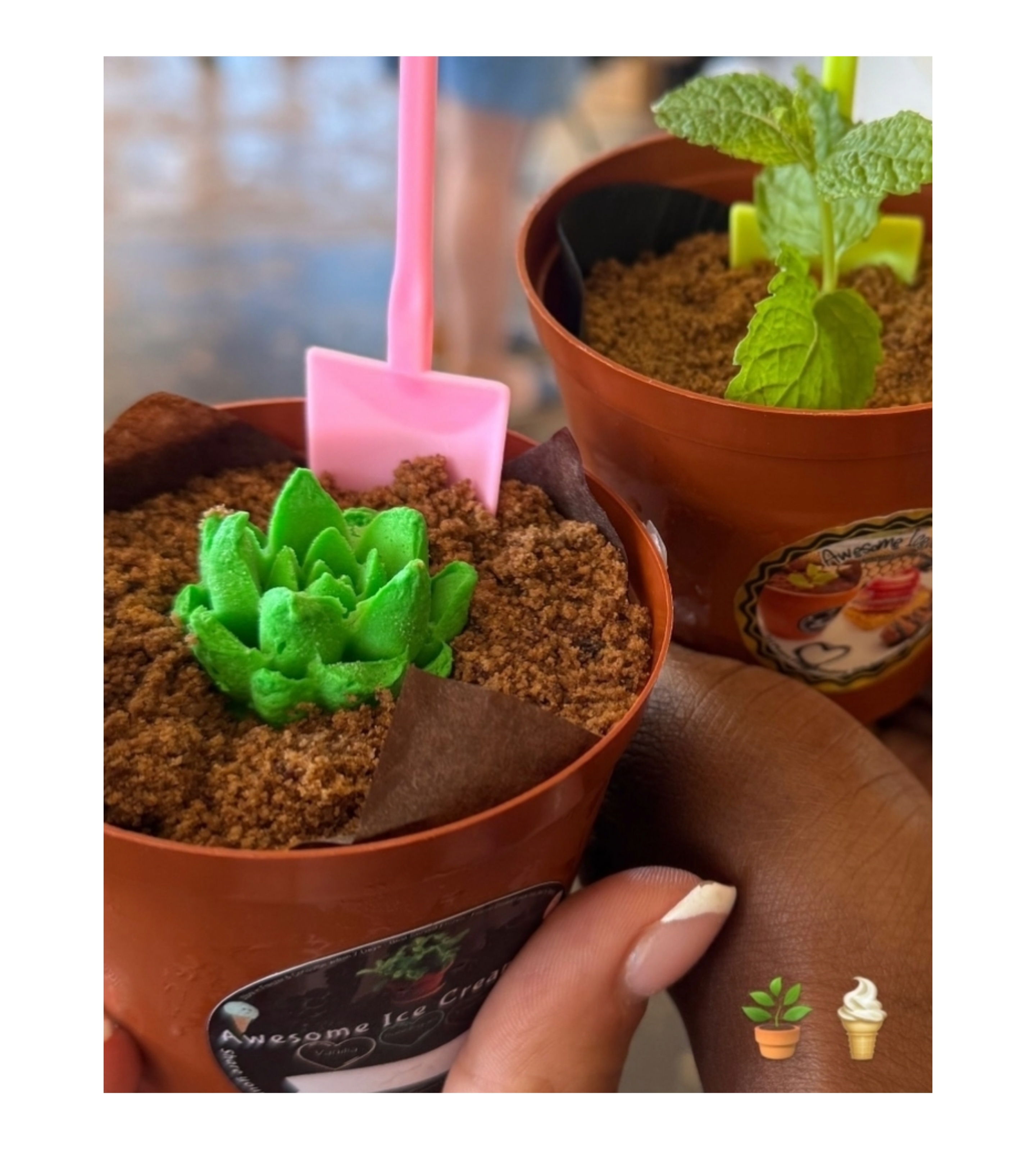 Collage_2025-08-01_22_36_03