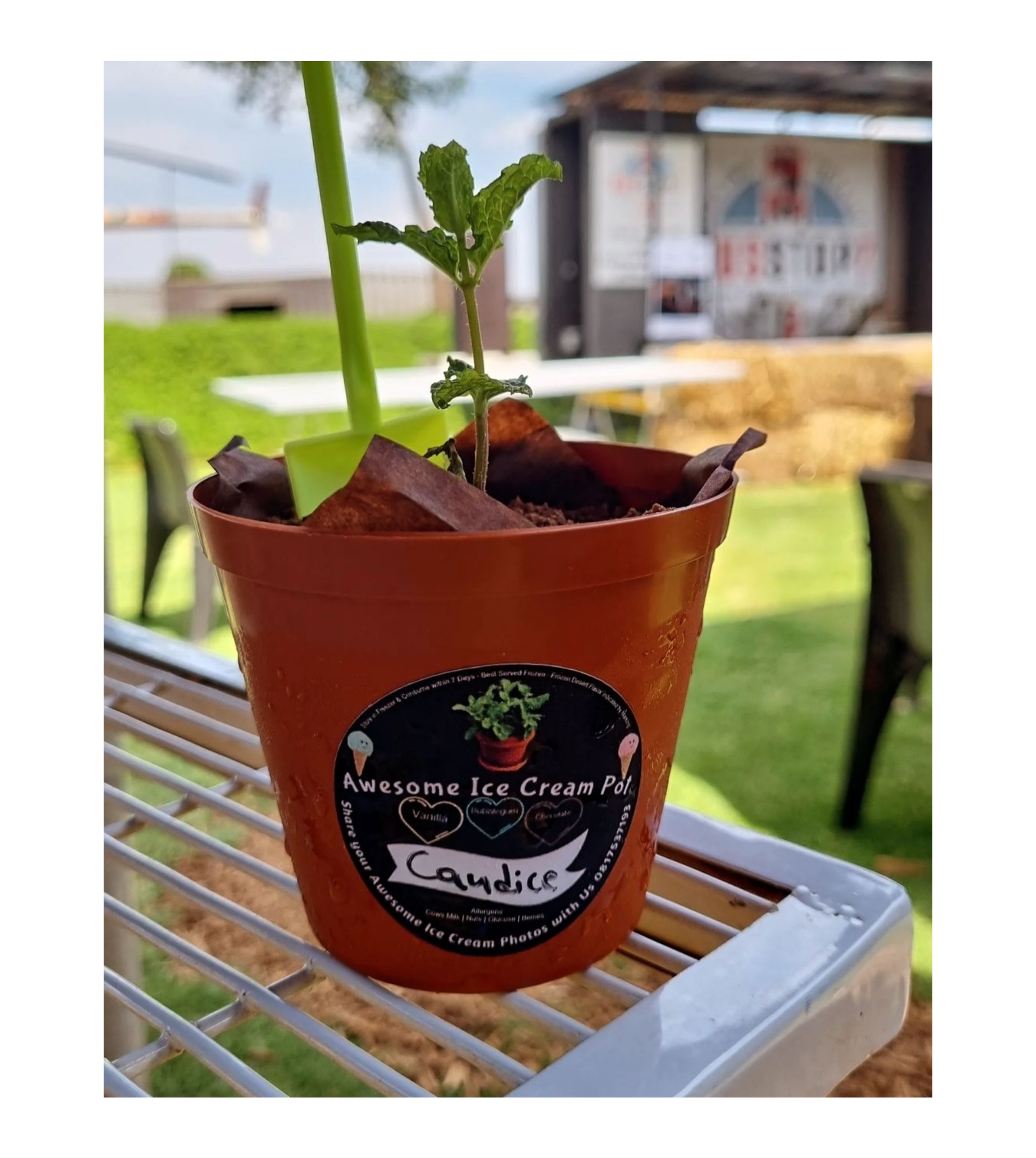 Collage_2025-08-01_22_36_32